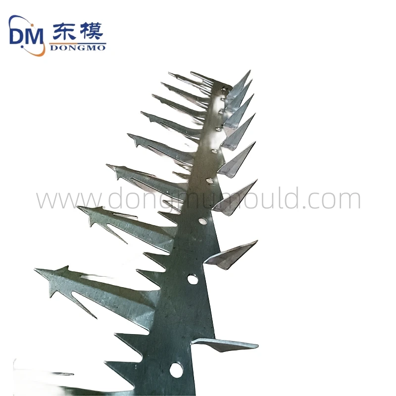 IMG20230924090254